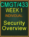 CMGT/433 Security Overview